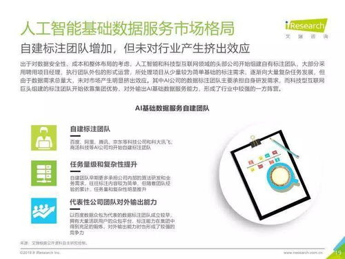 中國人工智能基礎數據服務行業報告 人工智能基礎軟件開發的動力引擎與未來趨勢